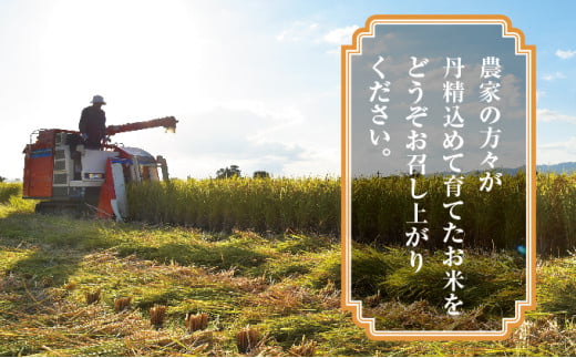 令和6年産 新米 ふさおとめ精米 10kg（5kg×2）【千葉県神崎町産】[001-a006]