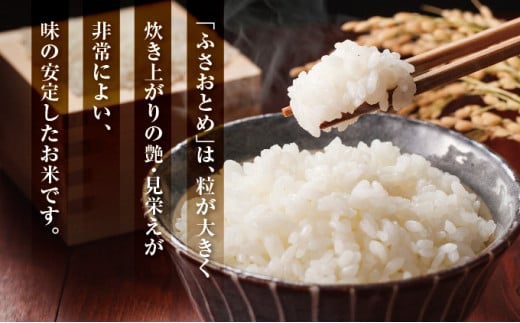 令和6年産 新米 ふさおとめ精米 10kg（5kg×2）【千葉県神崎町産】[001-a006]