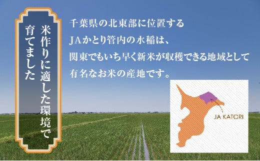 令和6年産 新米 ふさおとめ精米 10kg（5kg×2）【千葉県神崎町産】[001-a006]