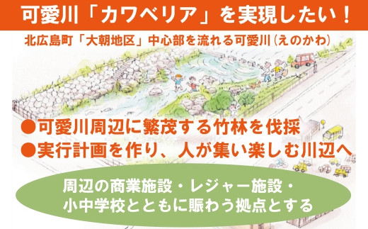 ■返礼品なし■ 大朝グランドデザイン実現（「可愛川とわさまちの調和」）への支援