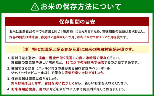 【新米受付・令和6年産米】【定期便：2ヶ月連続でお届け】新潟県岩船産 棚田米コシヒカリ 6kg（2kg×3袋）+パックごはん(150ｇ×1個) ×2ヶ月 NB4122 毎月 新米予約 お米 白米 こしひかり 精米 村上市