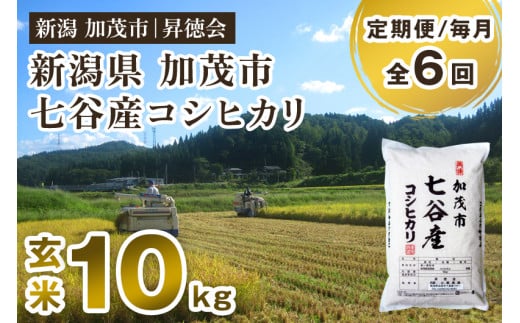 【令和6年産新米先行予約】【定期便6ヶ月毎月お届け】新潟県加茂市 七谷産コシヒカリ 玄米10kg（5kg×2） 高柳地域産数量限定 昇徳会