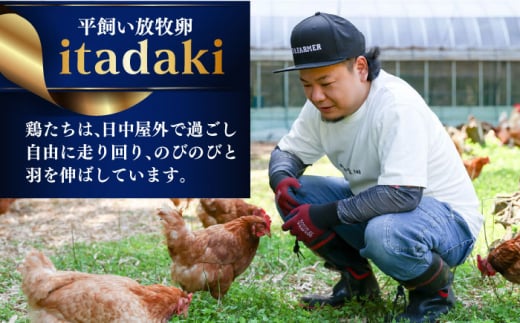 平戸 平飼い放牧卵「itadaki」4パック 計24個 長崎県/ナチュラルエッグラボ [42AFAA002] 卵 たまご 長崎 希少