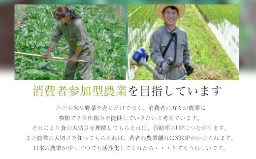 【令和6年産 先行予約】【京都丹波】小林ふぁ～むのコシヒカリ(令和6年産・精米)5kg×2 計10kg  ふるさと納税 米 コシヒカリ こしひかり 10kg 京都府 福知山市