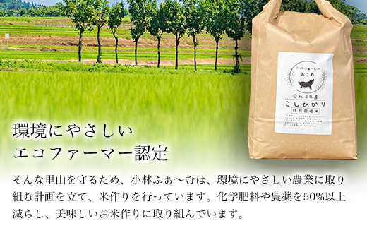 【令和6年産 先行予約】【京都丹波】小林ふぁ～むのコシヒカリ(令和6年産・精米)5kg×2 計10kg  ふるさと納税 米 コシヒカリ こしひかり 10kg 京都府 福知山市