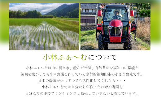 【令和6年産 先行予約】【京都丹波】小林ふぁ～むのコシヒカリ(令和6年産・精米)5kg×2 計10kg  ふるさと納税 米 コシヒカリ こしひかり 10kg 京都府 福知山市