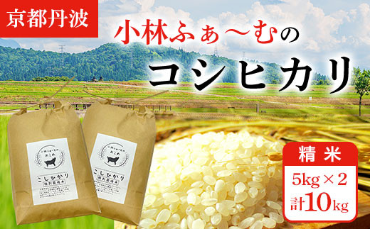 【令和6年産 先行予約】【京都丹波】小林ふぁ～むのコシヒカリ(令和6年産・精米)5kg×2 計10kg  ふるさと納税 米 コシヒカリ こしひかり 10kg 京都府 福知山市