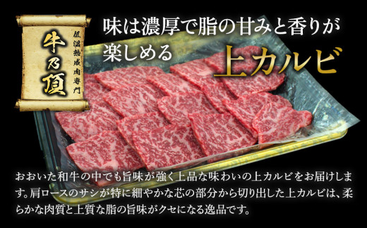 おおいた和牛 上カルビ 250g 牛肉 和牛 ブランド牛 黒毛和牛 赤身肉 焼き肉 焼肉 バーベキュー 大分県産 九州産 津久見市 熨斗対応 