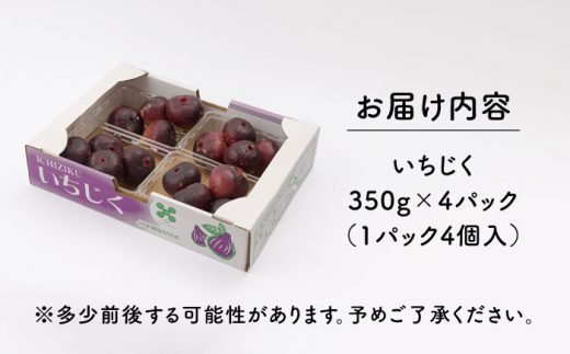 【先行受付】いちじく 約350g×4パック【田崎FARM】 [OCU004] / いちじく 無花果 イチジク 長崎県産いちじく 川棚町産無花果 肉厚イチジク いちじく ふるーつ フルーツ 果物 くだもの いちじく