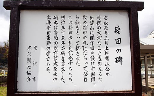 【6ヶ月定期便 2025年1月～6月配送】 つや姫 5kg/月 計30kg