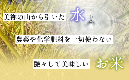 みね食育こども米(玄米) 750g 先行予約＜9月下旬以降 発送予定＞ | 山口県 山口 美祢 楽天ふるさと ふるさと 納税 支援品 返礼品 支援 返礼 米 国産 玄米 食育 農薬不使用 健康 有機 ご当地 お土産 名産品 特産品  土産 750g