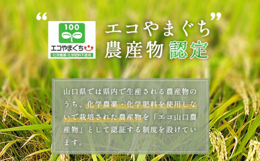 みね食育こども米(玄米) 750g 先行予約＜9月下旬以降 発送予定＞ | 山口県 山口 美祢 楽天ふるさと ふるさと 納税 支援品 返礼品 支援 返礼 米 国産 玄米 食育 農薬不使用 健康 有機 ご当地 お土産 名産品 特産品  土産 750g