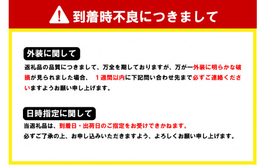 アクセサリー 【ANGEL WING】プラネットゴールド 合金 群馬県 千代田町 ペンダント ネックレス 金 ジュエリー 送料無料 お取り寄せ ギフト 贈り物 贈答用 プレゼント