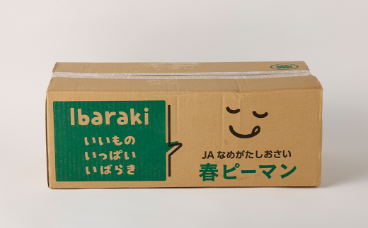 AY-2 丸ごと食べられる！波崎ジャンボピーマン　4kg（約70個入り）