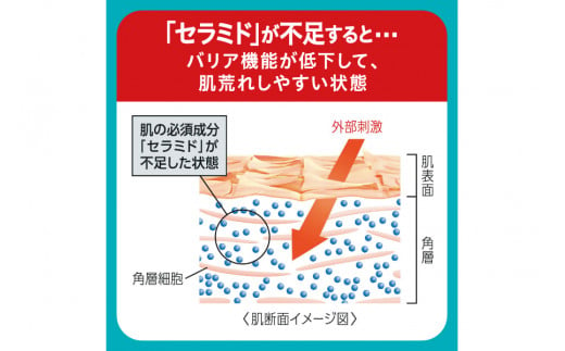 定期便12ヶ月 花王 キュレル　潤浸保湿乳液【化粧品 コスメ 敏感肌 乾燥 紫外線 セラミドケア 乾燥肌 保湿ケア 保湿 低刺激 キュレル 乳液 潤浸保湿 医薬部外品 肌荒れ スキンケア 潤い 神奈川県 小田原市 】