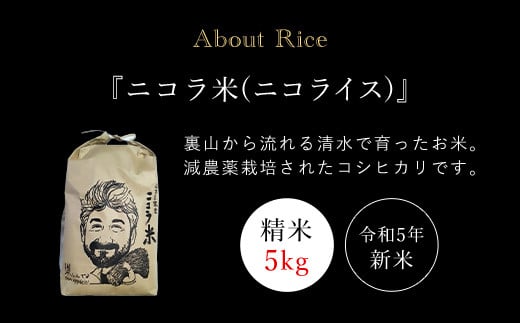 フランス人農家が丹精込めて育てた減農薬コシヒカリ　二コラ米（二コライス）【令和6年産新米】　精米5kg ふるさと納税 減農薬コシヒカリ  こめ コメ 精米 清流の水  ふっくら もちもち 水きれい 京都府 福知山市 京都 福知山 奥京都