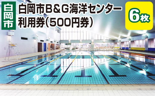 白岡市B&G海洋センター利用券（500円券）6枚　【11246-0272】