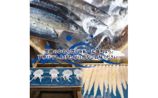 塩崎商店のイチオシ干物 5種セット 創業80年！地元で愛される人気の干物 Jセット （アジ開き×2枚、サンマ開き×2枚、カマス開き×2枚、タチウオみりん干し100g、イラギみりん干し100g) ひもの【sio113A】