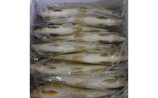 愛知川養殖漁業生産組合 琵琶湖産 近江鮎 約1kg(12尾) 冷凍 AV03