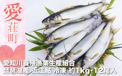 愛知川養殖漁業生産組合 琵琶湖産 近江鮎 約1kg(12尾) 冷凍 AV03