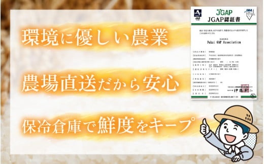 【令和6年産 新米】特別栽培米認証3 ひまわり米(あきさかり)　白米5kg×2袋