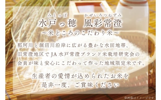 【令和6年産】特別栽培米コシヒカリ「風彩常澄」10kg 【最高 ランク 特A コシヒカリ 水戸市 オリジナル ブランド 農林水産省大臣賞受賞 減農薬 減化学肥料 栽培 ふっくら 美味しい お米 ご飯】 （FC-105）