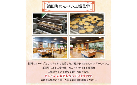 めんべい工場見学＋手焼き体験 ペアセット「めんべい2箱付」 [a9323] 株式会社 山口油屋福太郎(福岡本社) 【返礼品】添田町 ふるさと納税