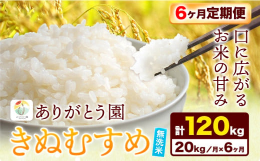 184.【6ヶ月定期便】令和6年産 米 岡山県産 きぬむすめ 無洗米 選べる 20kg ありがとう園《お申込み月の翌月から出荷開始》岡山県 矢掛町 無洗米 米 コメ 一等米 定期便 定期