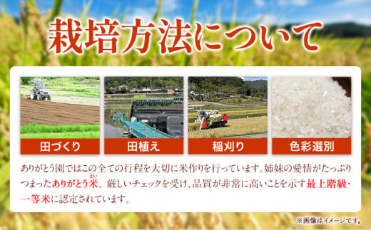 184.【6ヶ月定期便】令和6年産 米 岡山県産 きぬむすめ 無洗米 選べる 20kg ありがとう園《お申込み月の翌月から出荷開始》岡山県 矢掛町 無洗米 米 コメ 一等米 定期便 定期