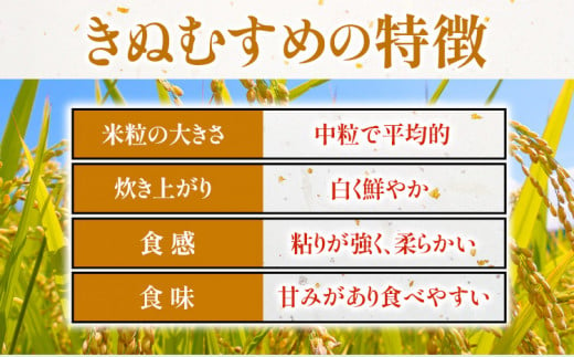 184.【6ヶ月定期便】令和6年産 米 岡山県産 きぬむすめ 無洗米 選べる 20kg ありがとう園《お申込み月の翌月から出荷開始》岡山県 矢掛町 無洗米 米 コメ 一等米 定期便 定期