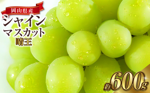 岡山県産 シャインマスカット 晴王 1房 約600g 【2024年8月下旬～10月上旬迄発送予定】