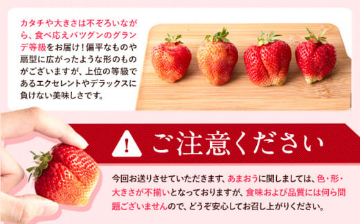 ★2025年出荷分★【先行予約】いちご あまおう 大容量産あまおう 1620g 【着日指定不可】《3月中旬-4月末頃出荷予定》 いちご