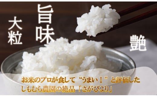 【定期便】 (12ヶ月連続お届け) 2023お米番付「優秀賞」！  さがびより60kg （5kg×12回） しもむら農園