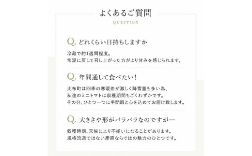 【2025年産予約開始！】金賞受賞！北海道フルーツミニトマト【ジェルバ】2.5kg