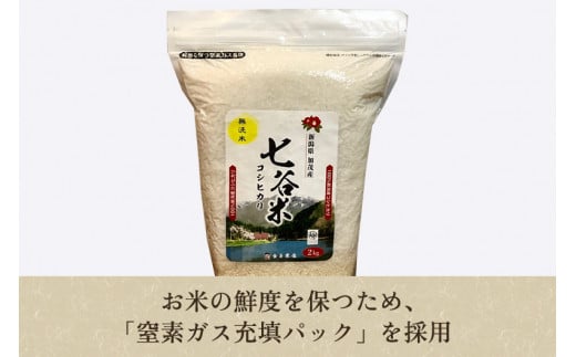 【令和6年産新米】【定期便6ヶ月毎月お届け】新潟県産 コシヒカリ「七谷米」無洗米 4kg（2kg×2）従来品種 窒素ガス充填パックで鮮度長持ち 老舗米穀店が厳選 金子米店 お米 米 定期便