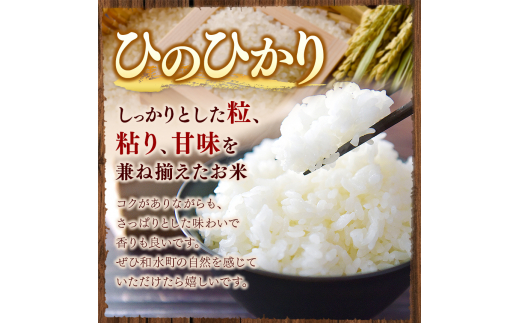 令和6年産   【定期便6回】 ひのひかりとくまさんの輝き食べ比べ 白米 10kg | 小分け 5kg × 2袋  熊本県産 特A獲得品種 米 白米 ごはん 銘柄米 ブランド米 単一米 人気 日本遺産 菊池川流域 こめ作り ごはん ふるさと納税 返礼品 