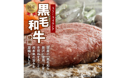 123-2 　洋食亭　ハンバーグ120ｇ×１０個、ステーキソース（約300g)　　