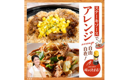 123-2 　洋食亭　ハンバーグ120ｇ×１０個、ステーキソース（約300g)　　