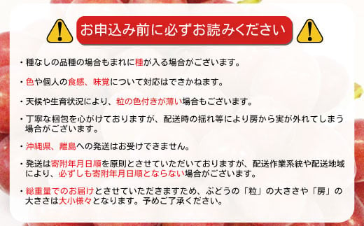 [No.5657-3929]5～6月に食べられる！温室栽培高級ブドウ クイーンルージュ® 約600g (1房)《本沢農園》■2025年発送■※5月下旬頃～6月上旬頃まで順次発送予定