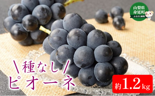 令和5年発送　種無しピオーネ　約1.2kg　2房[№5530-0358]