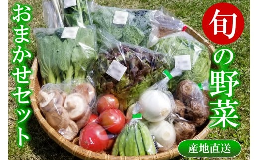 旬の野菜おまかせセット