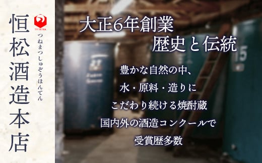 【2月発送】メガボトル！ 球磨焼酎【米一石】4L エコペット 25度  発送月選べる 米焼酎 蔵元直送 4リットル パーティサイズ TWSC金賞 酒 米 米焼酎 純米 焼酎 受賞歴 大容量 熊本 球磨 球磨焼酎 多良木町 040-0585-02