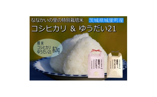 令和6年産＜特別栽培米＞「コシヒカリ」&「ゆうだい21」精米セット4kg(2kg×2袋)【1557707】