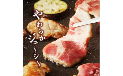 【宮崎ブランドポーク】肩ロース焼肉500g N061-YA0104