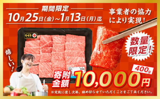 【期間・数量限定】宮崎牛霜降り（肩ロース）焼肉400g| 宮崎牛 牛肉 肉 ブランド牛 国産牛 和牛 霜降り 肩ロース 肩 ロース 焼肉 BBQ 贈答用 贈答 ギフト 贈り物 グルメ 記念日 誕生日 内祝い お取り寄せ 内閣総理大臣賞 ミヤチク ホームパーティー お祝い 料理 キャンプ |_Tk031-014-D