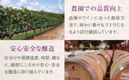 【お歳暮対象】厳選TOMOEワイン３本セット ワイン 受賞 飲み比べ ワインセット ギフト 三次市/広島三次ワイナリー[APAZ033]