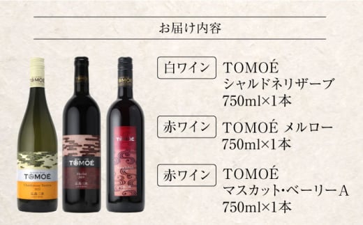 【お歳暮対象】厳選TOMOEワイン３本セット ワイン 受賞 飲み比べ ワインセット ギフト 三次市/広島三次ワイナリー[APAZ033]