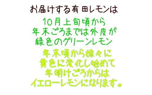 紀州和歌山 ご家庭用 有田レモン 約3kg【防腐剤・ワックス不使用】【農家直送】【訳あり】 ※着日指定不可 ※10月中旬～2月下旬頃に順次発送【ard189A】