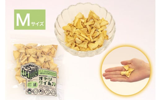 ペットのおやつ オヤツタイムズ 35g×3袋セット (S・M・Lサイズ入り)｜ペットフード ドライフルーツ ドッグフード ドックフード 犬 おやつ [0757]