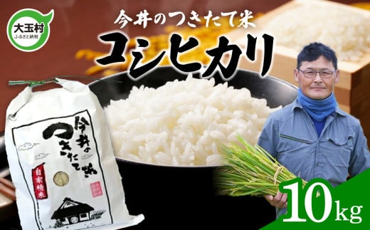 【令和6年産 新米 】 米 10kg コシヒカリ 【 今井のつきたて米 】 こしひかり 福島県 大玉村 白米 精米 今井農園 ｜ OT08-003-R6